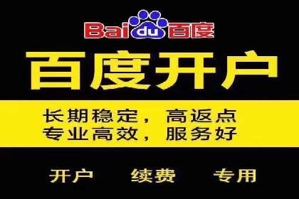 搜索开户返点政策下的成功案例分析